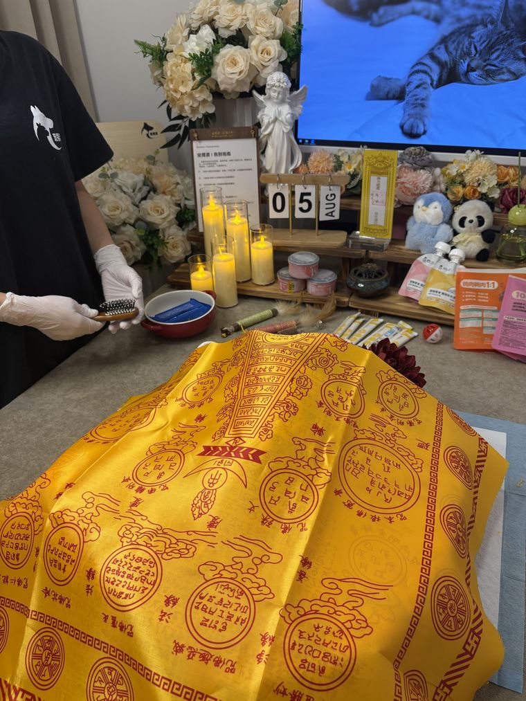 泰州养宠家庭：宠物突然食欲下降，可能是身体在报警